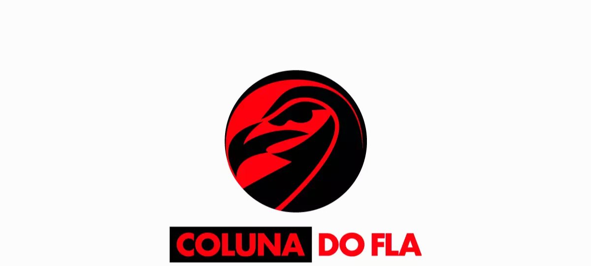 Flamengo amplia vínculo de Erick Pulgar até o fim de 2027 - Imagem do artigo