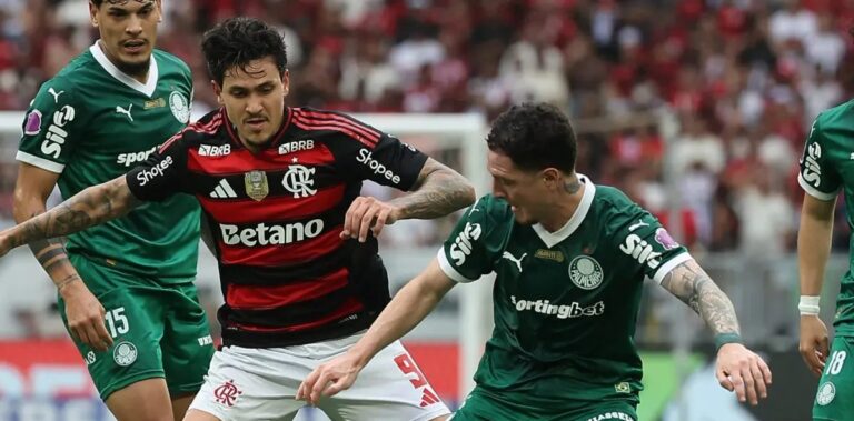 Palmeiras e Flamengo dividem a ponta depois da 29ª rodada; panorama completo do Brasileirão 2025