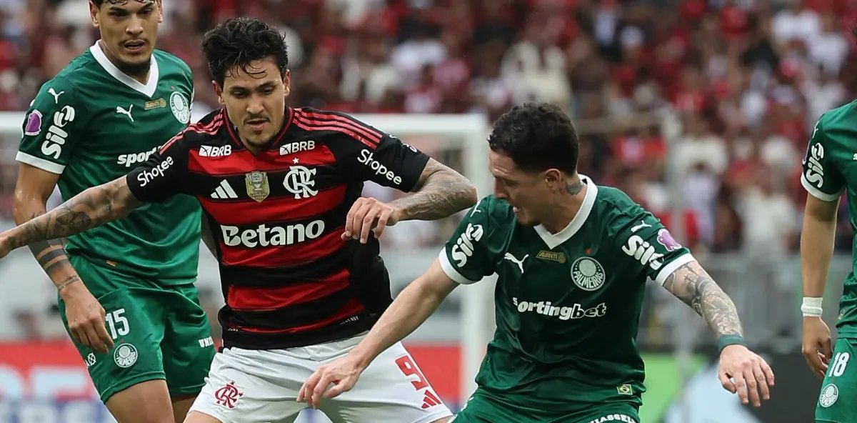 Palmeiras e Flamengo dividem a ponta depois da 29ª rodada; panorama completo do Brasileirão 2025 - Imagem do artigo