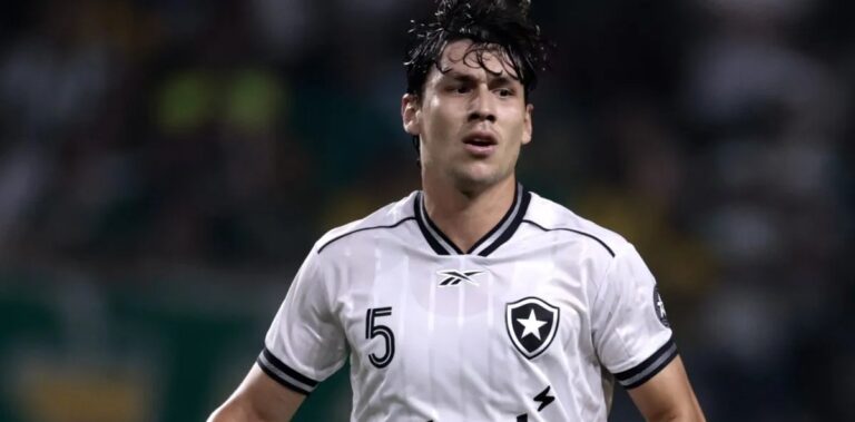 Botafogo abre o placar, mas leva virada do Remo e é derrotado no Nilton Santos