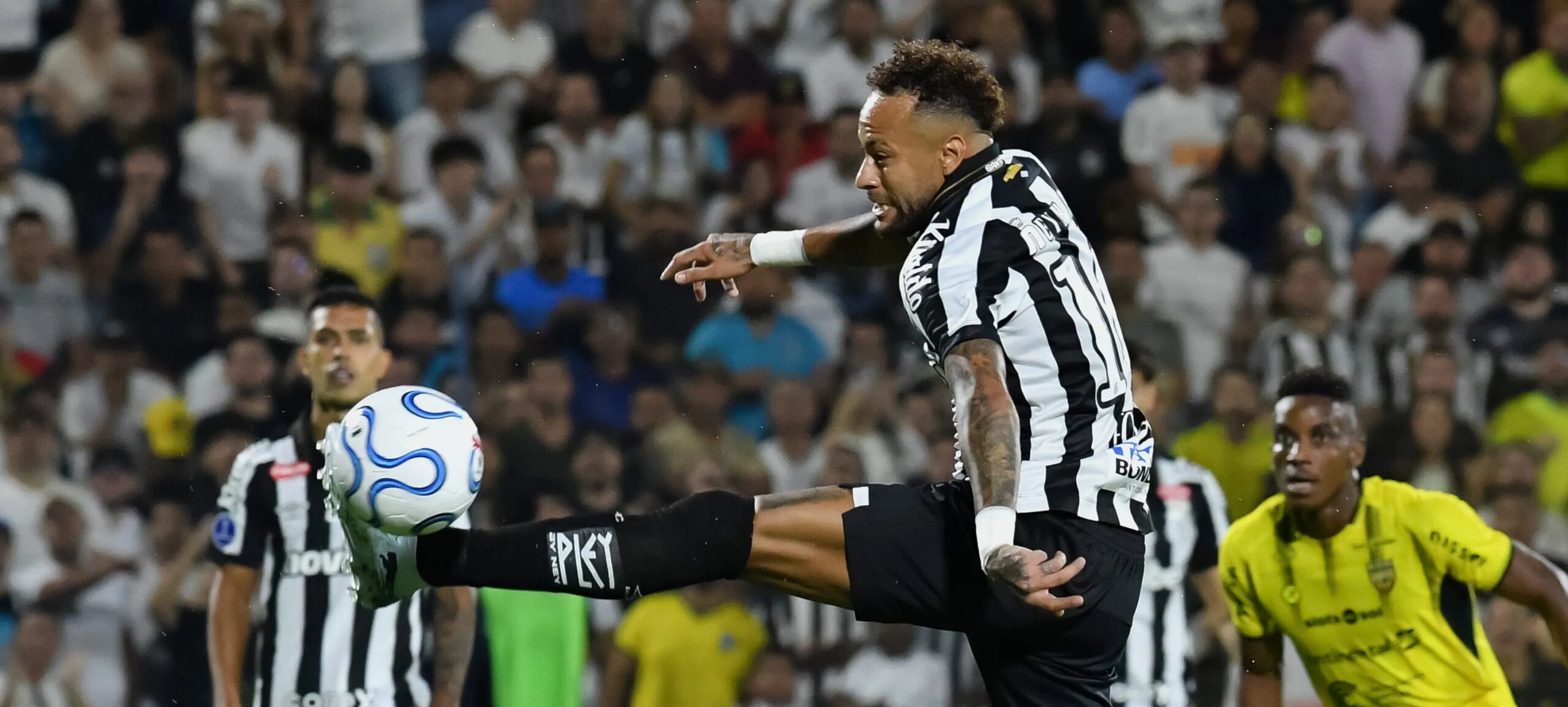 Cuca procura Alexandre Mattos e sugere contratações para o Santos - Imagem do artigo original