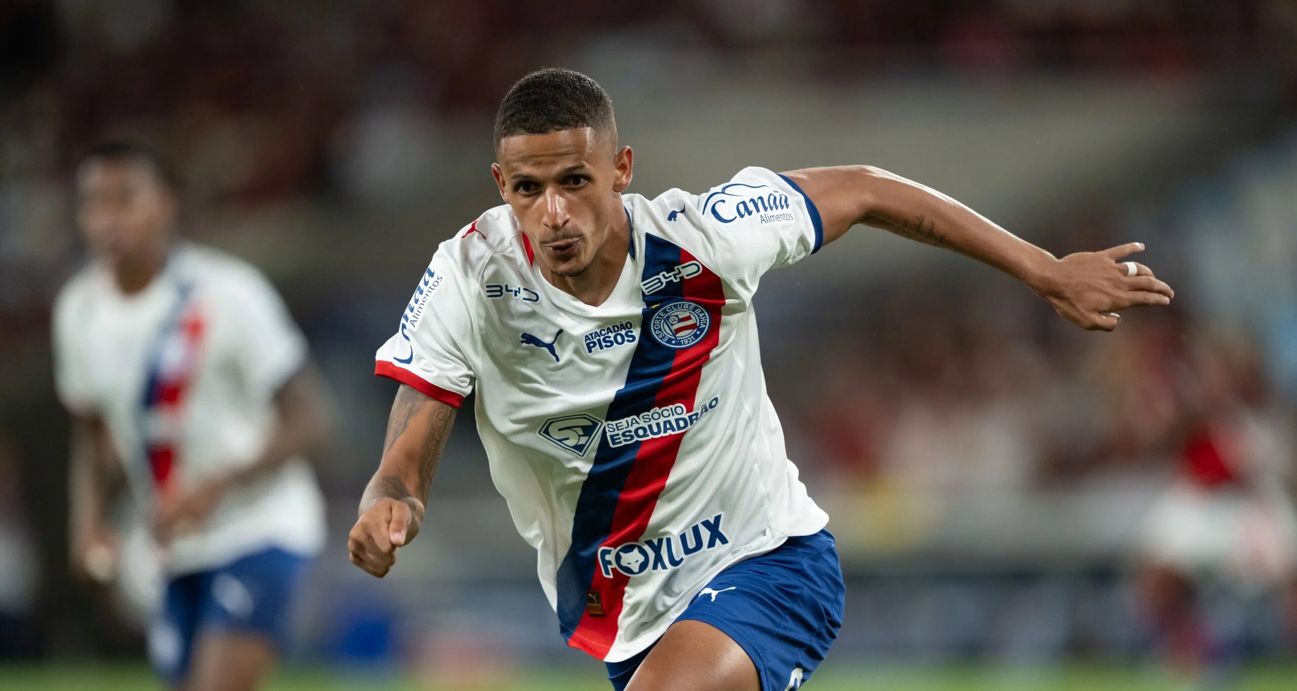 Palmeiras consulta Bahia por Luciano Juba e recebe resposta negativa - Imagem do artigo original