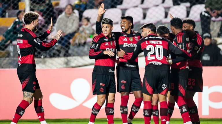 Flamengo: Desempenho Irregular Preocupa em Confrontos do Brasileirão